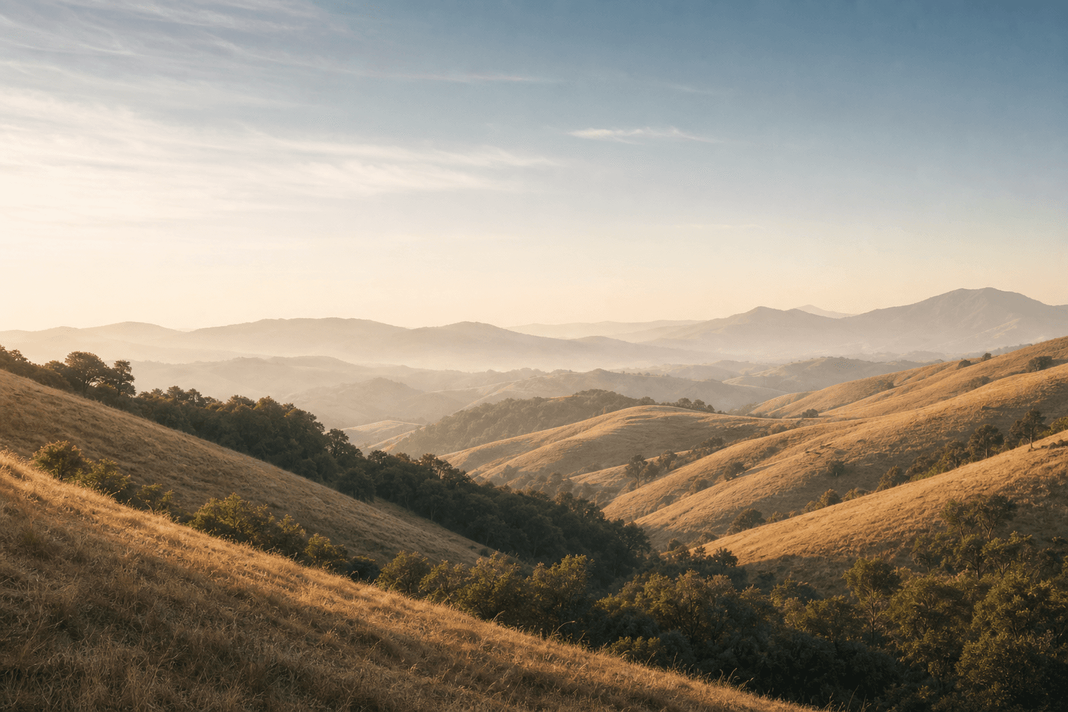 Golden California hills with oak trees and a distant wildland treeline at soft morning light